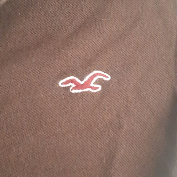 Hollister Brown Polo with Logo Size S - Picture 3 of 6